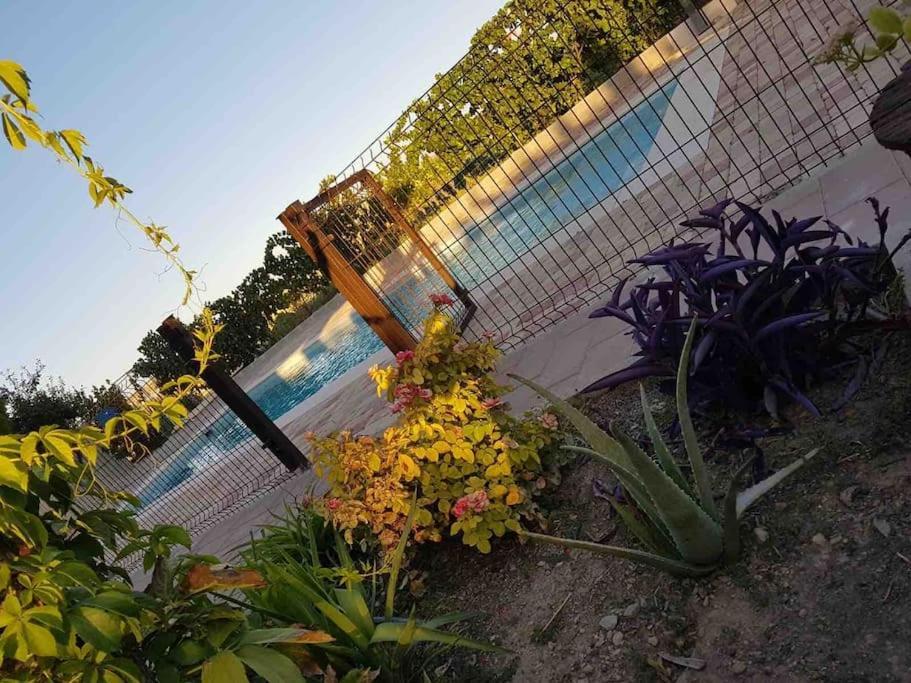 Casa Rural Alma Totanés 外观 照片